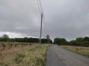 Vigne de Vinassan
